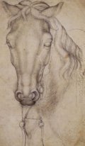 Estudo da cabeça de um cavalo