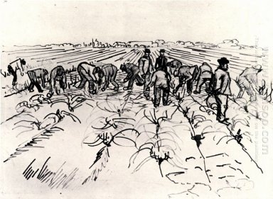 Petani Bekerja Di Bidang 1888