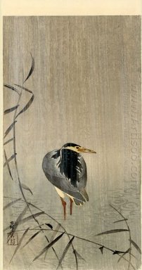 Heron en Downpour