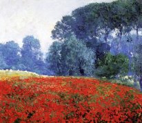 Poppy Field