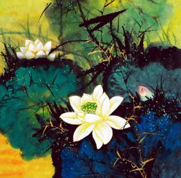 Lotus - pintura china