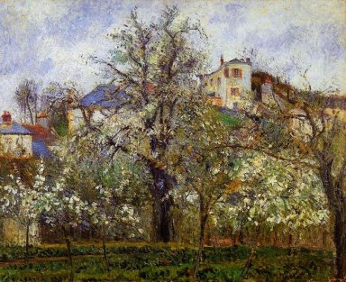 la huerta con árboles en flor de primavera Pontoise 1877