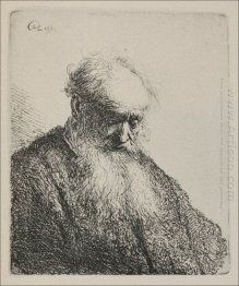 An Old Man With A Beard 1630