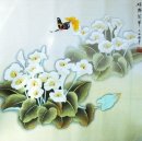 Drgonfly & Flowers - Pintura Chinesa