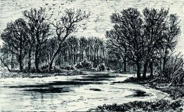 Swamp In The The Forest 1885