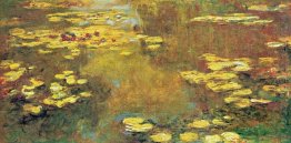 Water Lilies 45