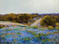 Bluebonnets at Late Afternoon