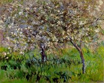 Apple Trees In Bloom At Giverny 1901