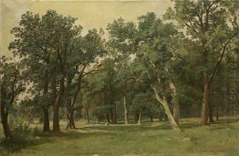 Forest Glade 1889