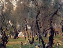 The Olive Grove