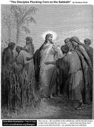 The Disciples Plucking Corn On The Sabbath