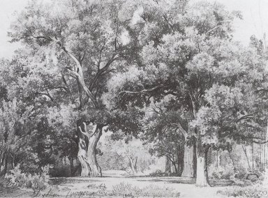 Oaks 1857