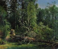 Fallen Tree 1875