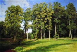 Grove By The Pond Preobrazhenskoye 1896