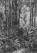 Ferns In The Forest 1877