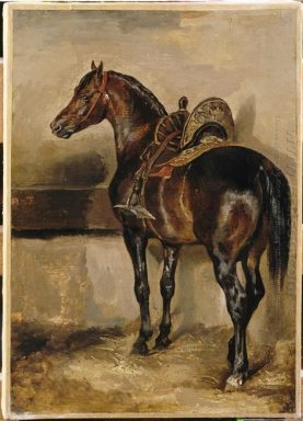 Cavallo turco in una stalla