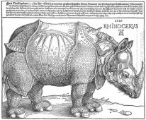 Neushoorn 1515