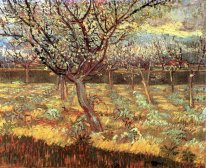 Albaricoqueros en flor 1888