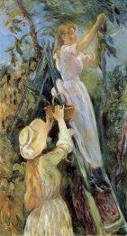 The Cherry Picker 1891