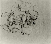 Sketch Of A Donkey 1890