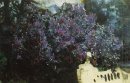 Lilacs 1901