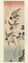 Four Swallows