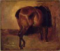 Study For Bay Horse Seen From Behind