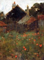 The Poppy Field