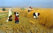 Collecte de récolte en Ukraine