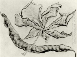 Dead Leaf And Pod 1890