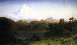 mount hood oregon 1865 1