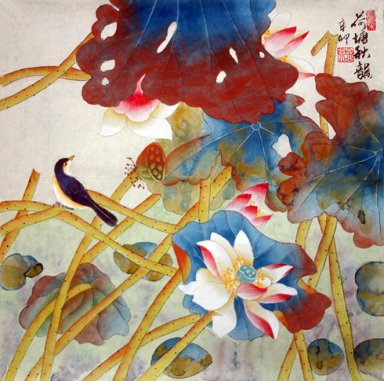 Lotus - pintura chinesa