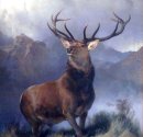A Monarch of the Glen