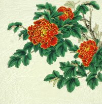 Peony - Chinese Painting