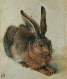 hare 1528