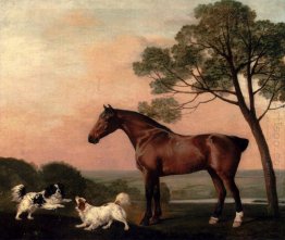 A Bay Hunter With Two Spaniels