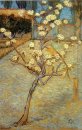 Pear Tree in fiore