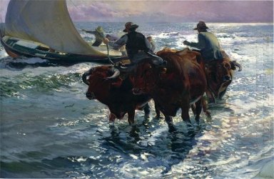 Toros En La Mar de 1903