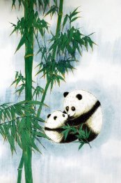 Panda - Chinese Painting