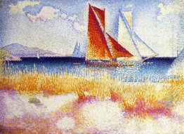 Regatta