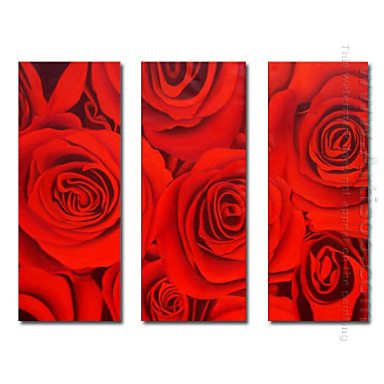 Hand-painted Oil Painting Floral Oversized Wide - Set of 3